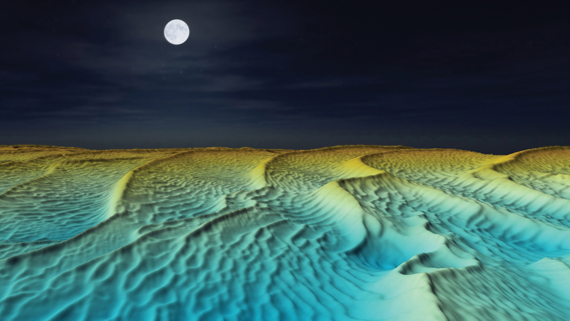 Moonlight walk on the Noordhinder dunes, EM2040-04 MKII Dual RX ©FPS Economy