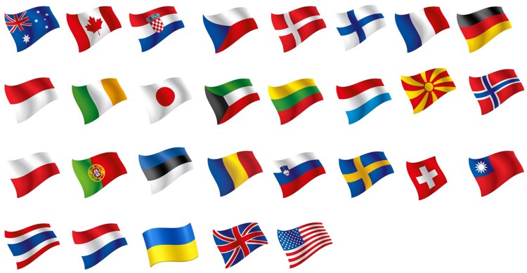 Picture: Remote Weapon Systems flags